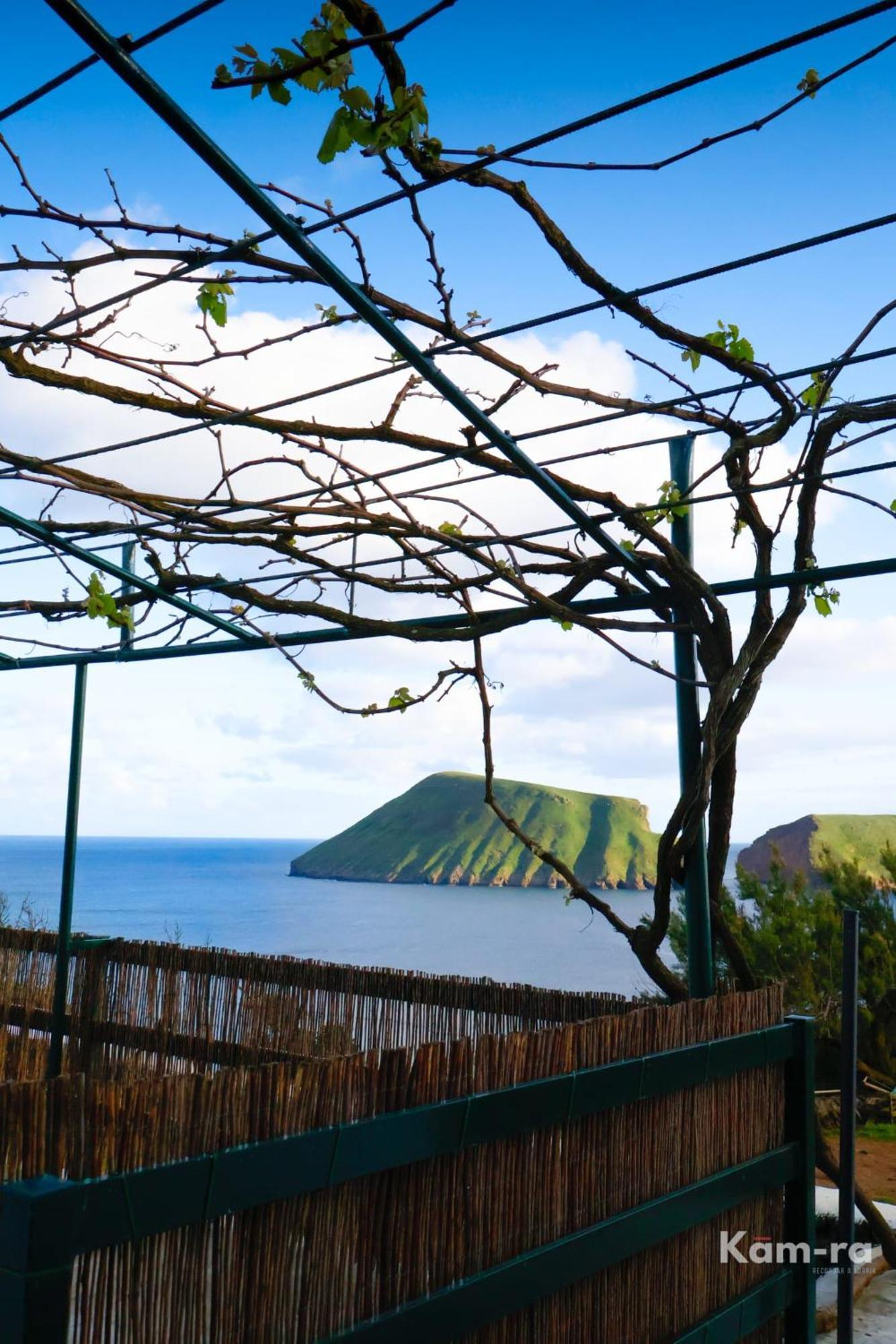 Casa Da Avo Couta Villa Angra do Heroismo Bagian luar foto